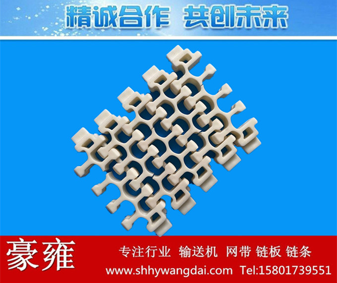 2201转弯式塑料网带链