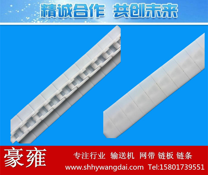 2040P塑料链条