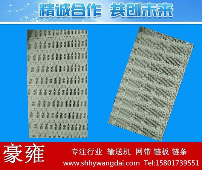 5966平格式网带链