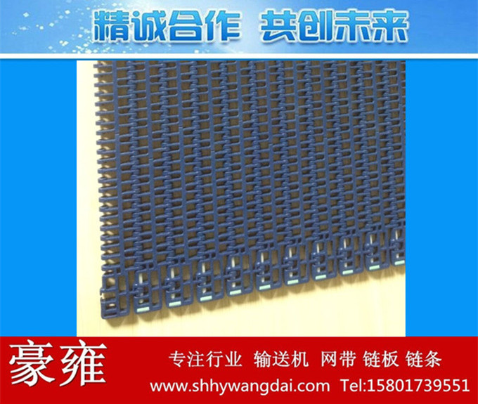900动态塑料网带