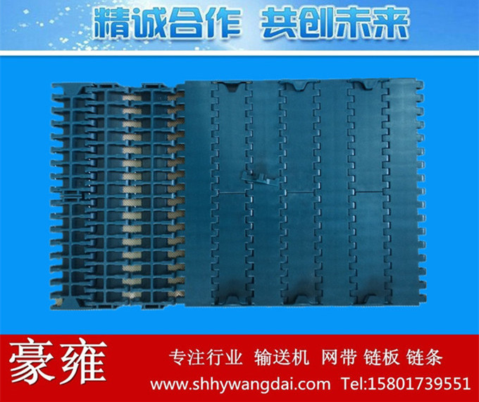 1000平板式网链网链