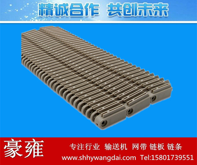 5997杀菌线凸肋网带链