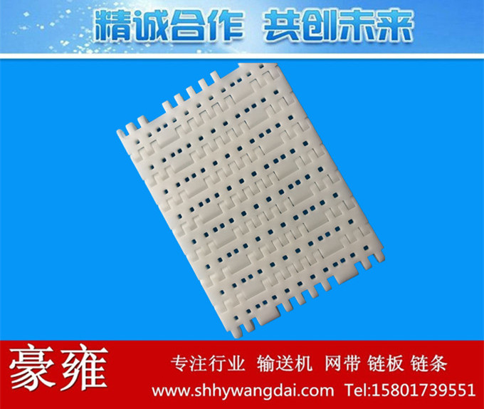 7705开孔式/平格式塑料网带