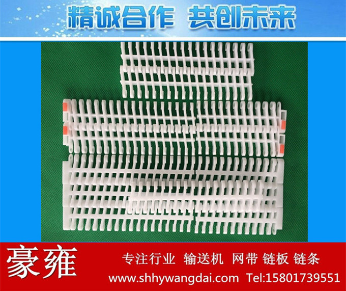 900平格型塑料网带